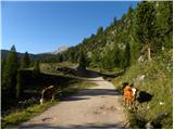 Rifugio Pederü - Rifugio Lavarella